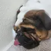 Leyda Sanchez - @leyda.sanchez03 - TikTok