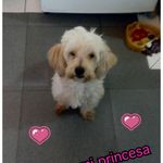 Leyda Torres - @leyda.torres75 - Instagram