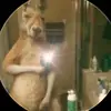 Leyder Perez - @leyder.perez44 - TikTok