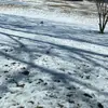 Leydi 🐼 - @leydi.escobar5 - TikTok