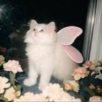 leyi - @leyili_lyyy - Instagram