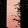 LEYILI611 - @leyili611 - TikTok
