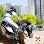 Leyi Zhang - @emilyzhang944 - Instagram