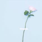 张乐颖 - @zhangleyingy - Instagram