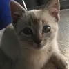 leylaacevedo846 - @leylaacevedo846 - TikTok