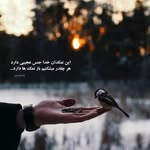 leyla akbari - @leylaaa.ak - Instagram