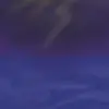 lionleyla0821 - @leylaallen0821 - TikTok