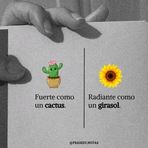 Leyla Alvarez - Facebook