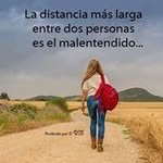 Leyla Flores - @_leyla_flores - Instagram