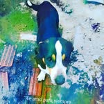 Leyla Flores - @leyla.flores.56679 - Instagram