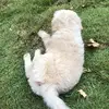 Leyla Gutierrez - @leyla.gutierrez4 - TikTok