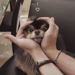 Leyla Kim - @leylakim_07 - Instagram