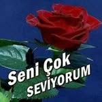 Leyla Kımırtı - @leylakimirti - Instagram