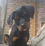Leyla Vasquez - Facebook
