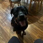 Leyton Richards - Facebook