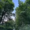 Li cheng - @user74109304016727 - TikTok