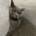 Licheng - @dada03033 - Instagram