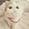 LiCheng - @nn1995950fj - TikTok
