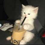 Likwang - @liklikwang - Instagram