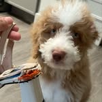 Linh Pham - @lilinh__ - Instagram