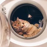 李雄 - @li.xiong - Instagram