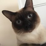 Bond - @lia_bondi - Instagram