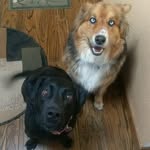Lia & Granger - @lia_n_granger - Instagram