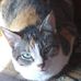 Lia Granger - Facebook