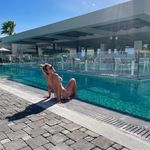 Lia Haley Stubbings - @lia_haley - Instagram