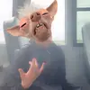 Liam Higgins - @liamhiggins29 - TikTok