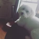 Lia Kantor - @liakantor1.1 - Instagram