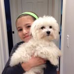 Lia Kantor - @maltese_potter_lover - Instagram