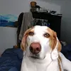 Liam Mccarthy - @liam.mccarthy21 - TikTok
