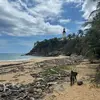 lia moore - @lia.mooree - TikTok