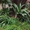 lia moore - @lia.moore96 - TikTok