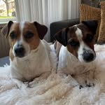 Lia Post - @liapost768 - Instagram