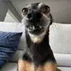 lia'stipspostsforyou🫰 - @liastipspostsfory - TikTok