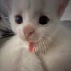 Lia Shaw - Facebook