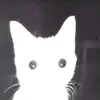 LiliOuO - @lia_stark3 - TikTok