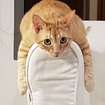 Kira Siro and Líah+Chicón+Enzo+Alai - @tugidaq_ - Instagram