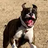 Liam Ashton - @liam.ashton0 - TikTok