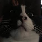 Liam ashton - @liam.the.person - Instagram