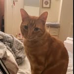 Liam Ashton - @liamashton2025 - Instagram