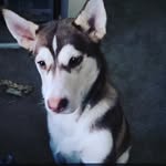 Liam Ashton - @siobhan_waffles_world - Instagram