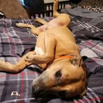Liam Bailey - Facebook