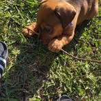 Liam Bayer - Facebook