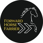 Liam Bean DipWCF - @forwardhorse_farrier - Instagram
