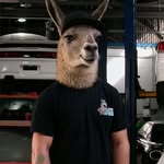 Liam Bishop - @llamafab_liam - Instagram