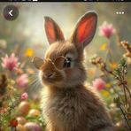 Liam Bouquet - Facebook