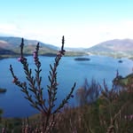 Liam Bradshaw - @__viewpoints - Instagram
